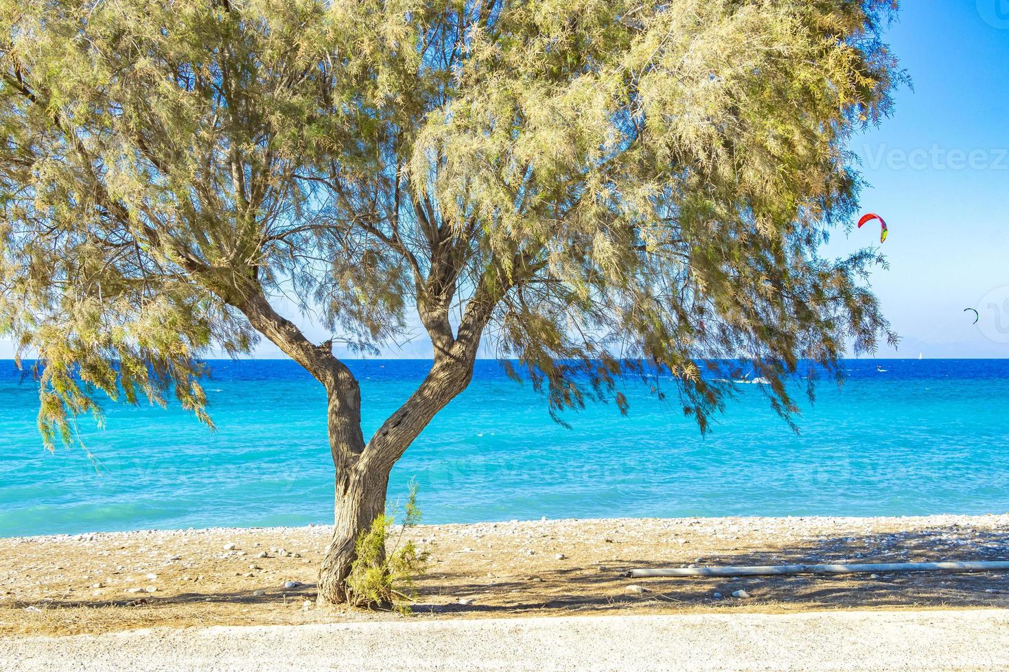 kremasti beach rhodes greece água turquesa e árvores do parque. foto