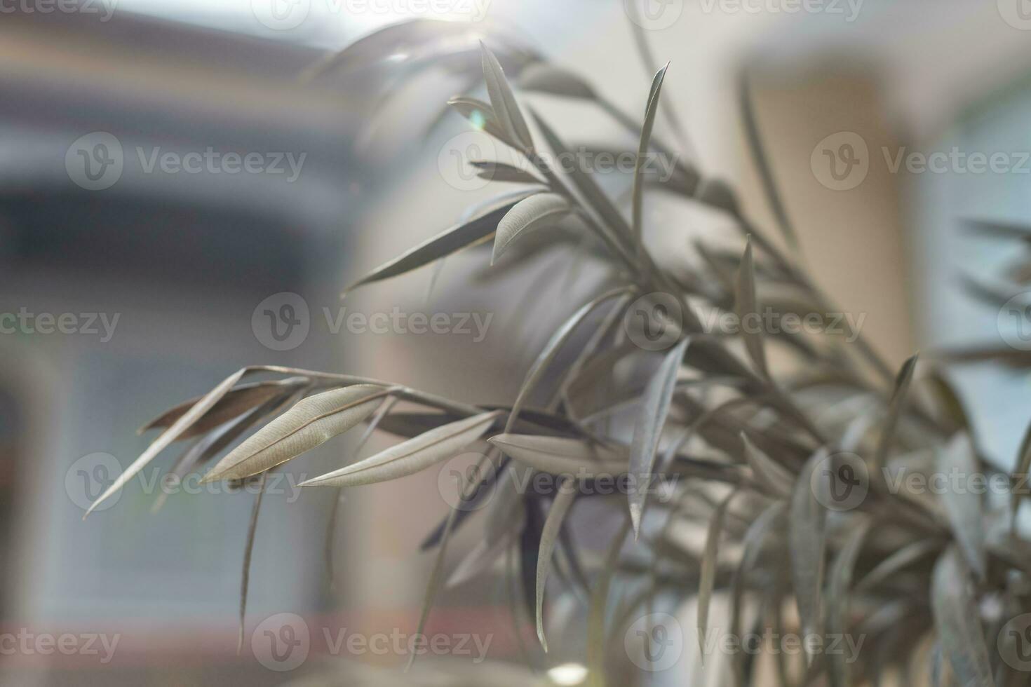 fundo com uma plantar para protetor de tela ou de outros necessidades foto