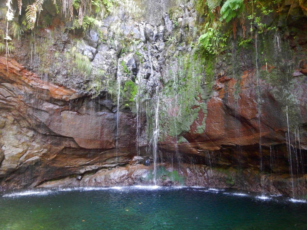 uma cachoeira em uma fonte na floresta foto