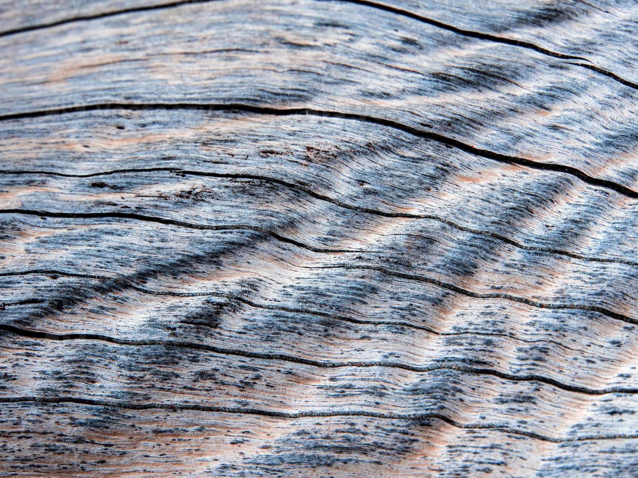 textura de superfície de toco de madeira velha foto