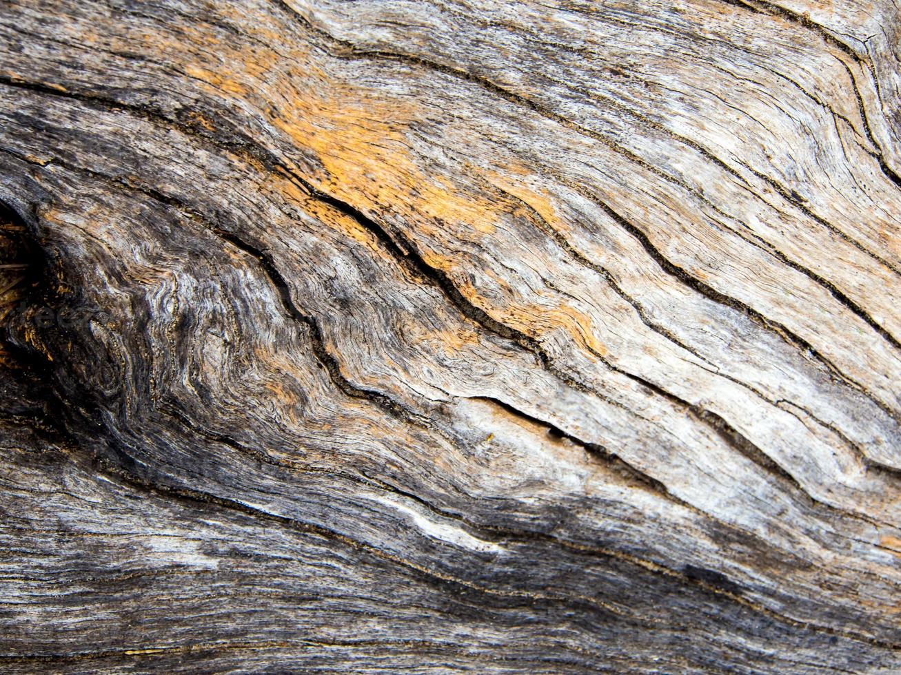 textura de superfície de toco de madeira velha foto