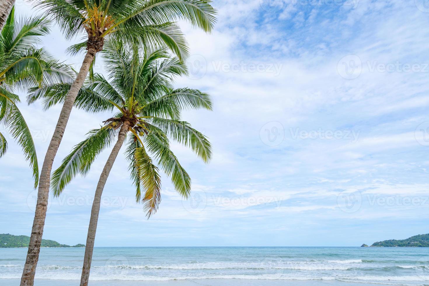 praia de phuket patong praia de verão com palmeiras foto