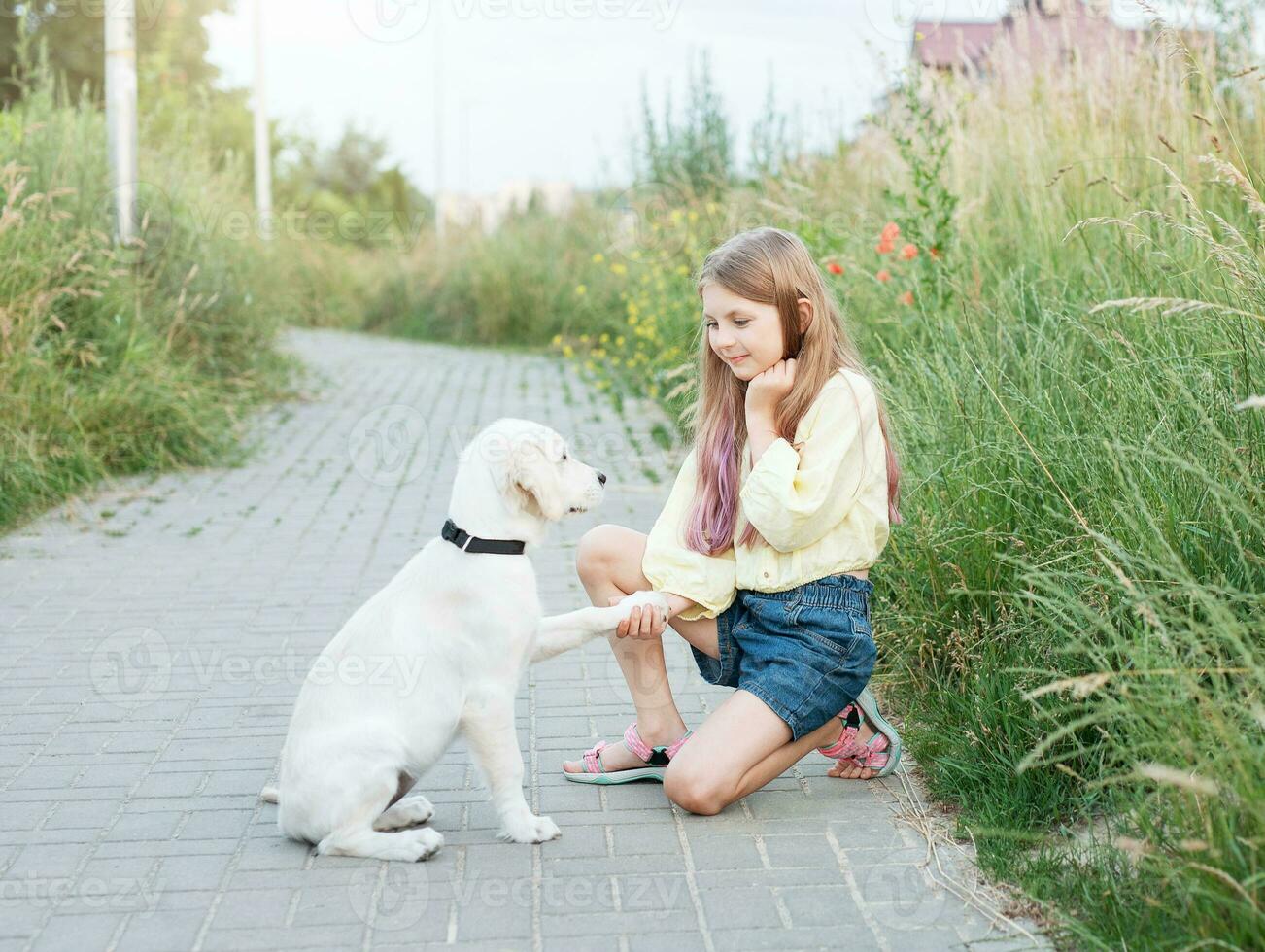 cachorro labrador retriever e pequeno menina foto