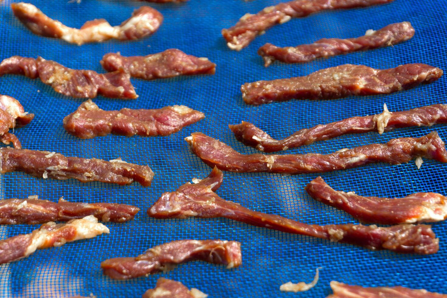 seco carne é uma característica do muitos cozinhas por aí a mundo foto