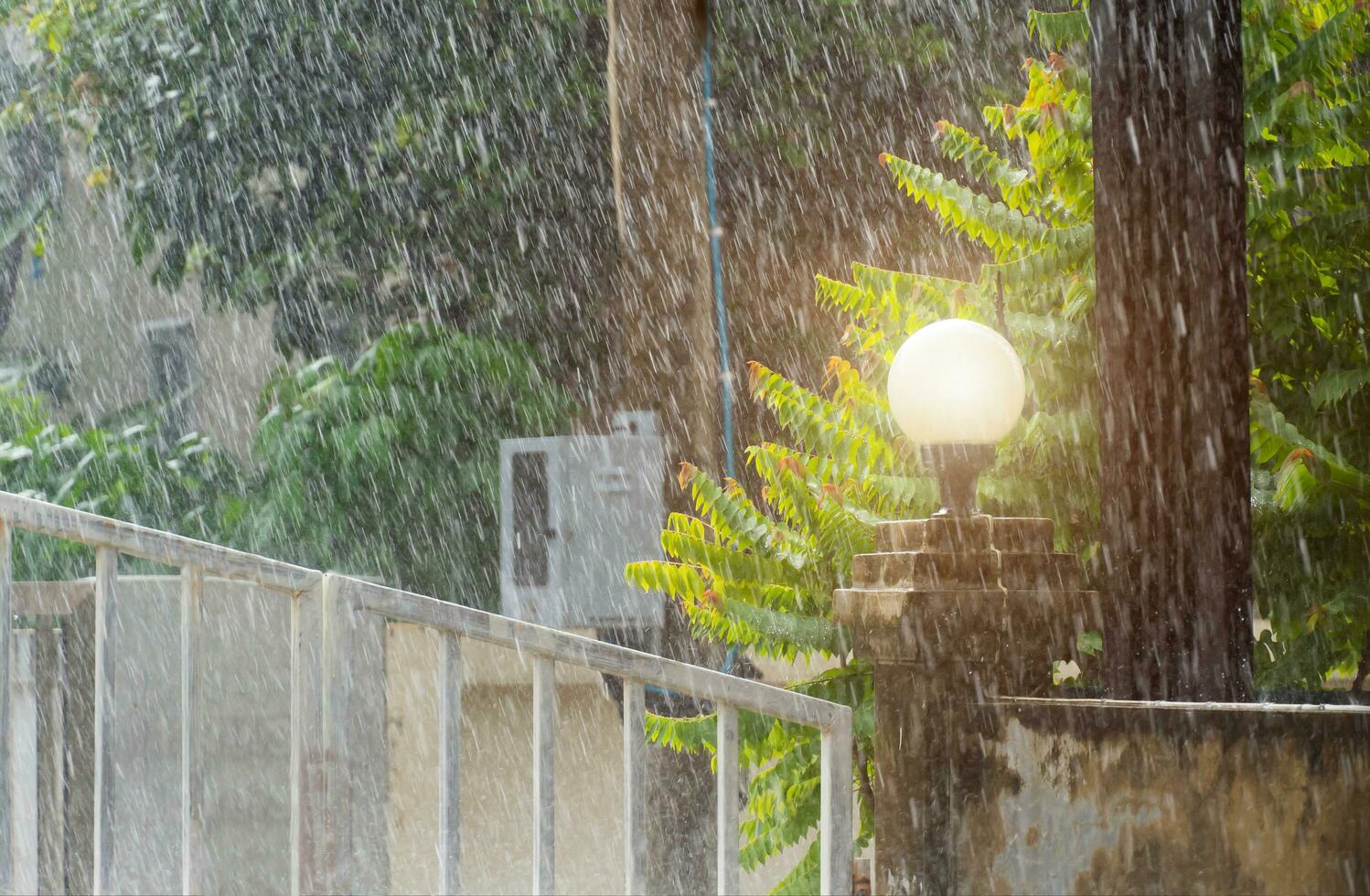 verão chuva tempestades outono em casa e lá é uma Forte vento foto