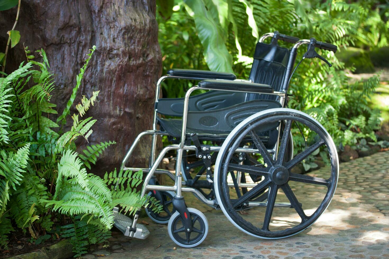 cadeira de rodas dentro natureza foto