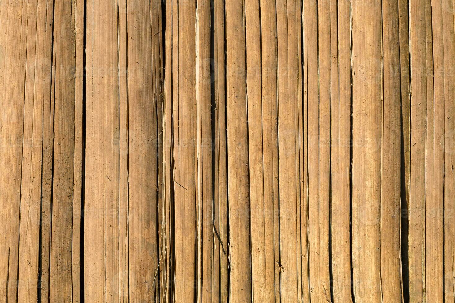 Castanho bambu faixa cerca textura fundo foto