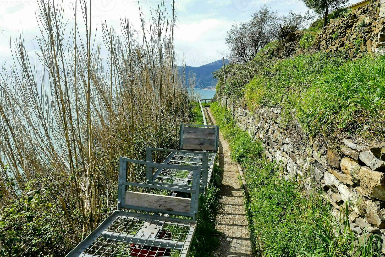 uma caminho este conduz para a mar foto