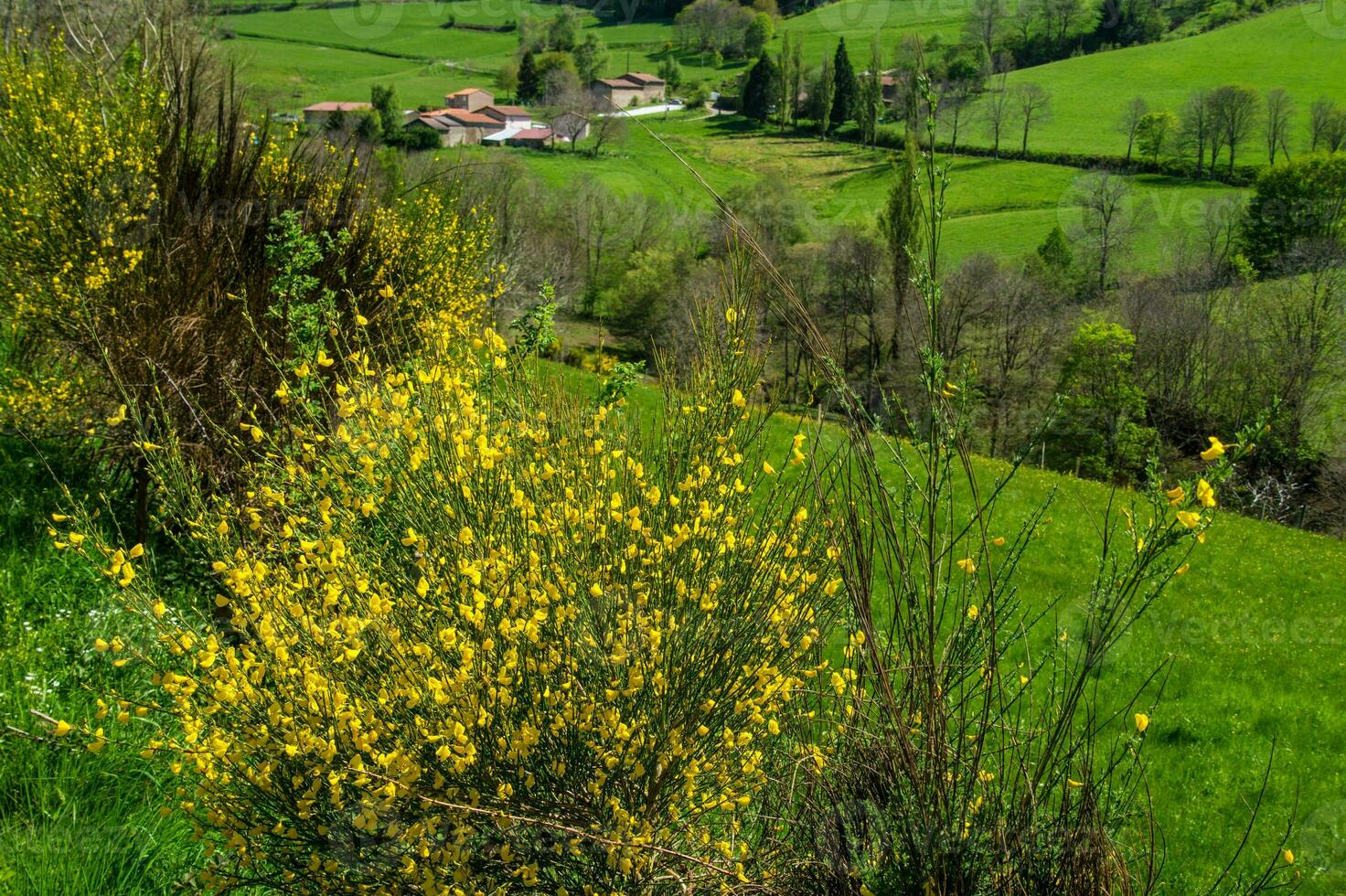 santo gorro le Coutreau, Forez, Loire, França foto