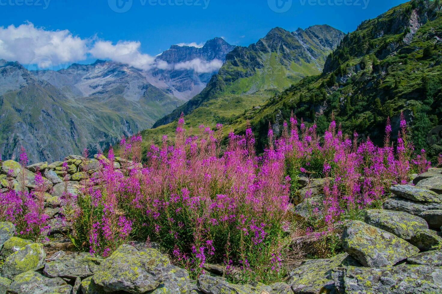 barracão de ferramentas morena, Valais, Suíça foto