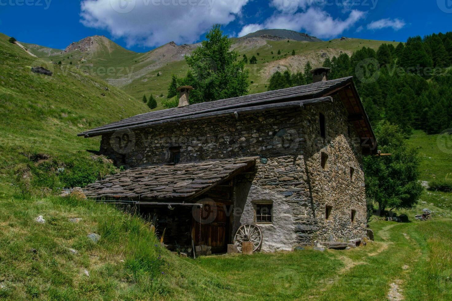bois noir Ceillac queyras dentro hautes Alpes dentro França foto