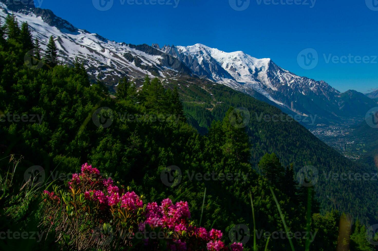 pecleret,arge,tiere, Chamonix, alta Sabóia, França foto