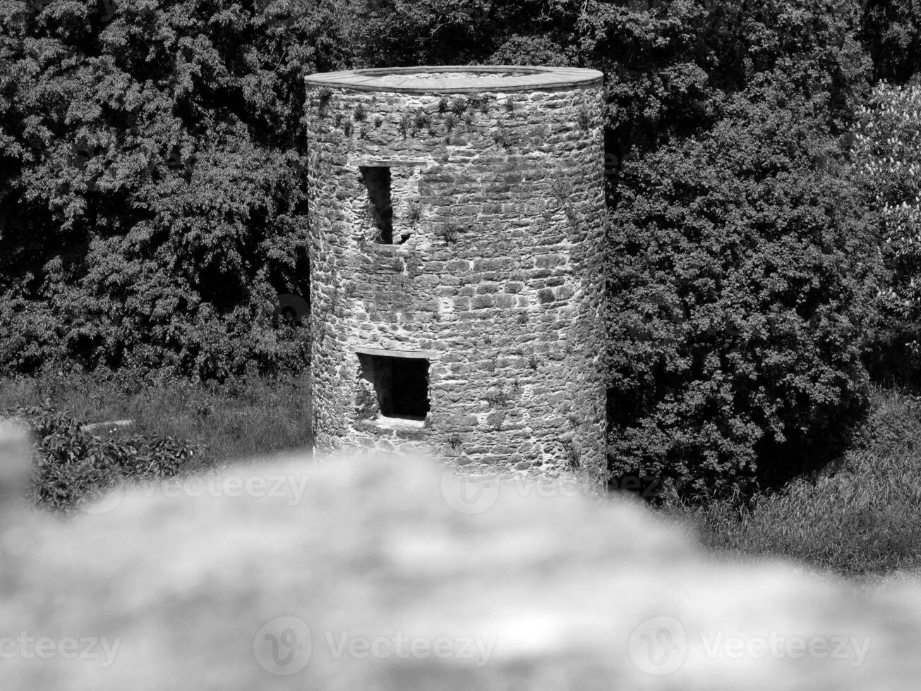 velho céltico castelo torre entre a árvores com borrado pedra dentro a frente, blarney castelo dentro Irlanda, velho antigo céltico fortaleza foto