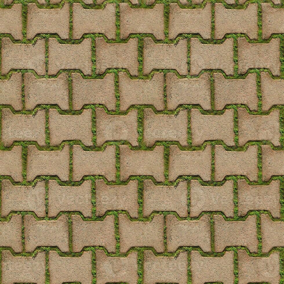 desatado textura do verde Relva brotou entre tijolos do calçada portuguesa caminho, topo visualizar. conceito do harmonioso fusão do cidade e natureza. foto