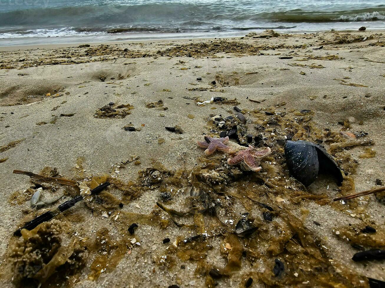 impressões do a sem fim de praia às a norte mar dentro blavand Dinamarca foto