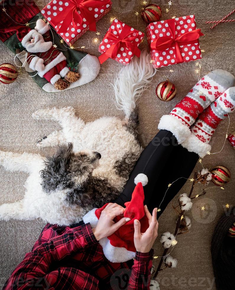 vista superior de uma mulher com meias engraçadas comemorando o natal com seu cachorro foto