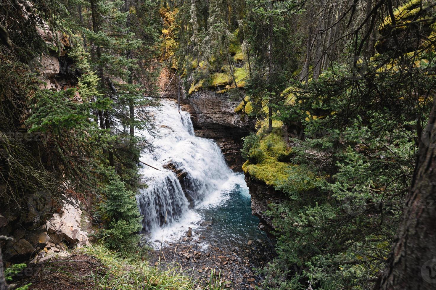 cachoeira do desfiladeiro johnston fluindo em uma floresta profunda no parque nacional de banff foto