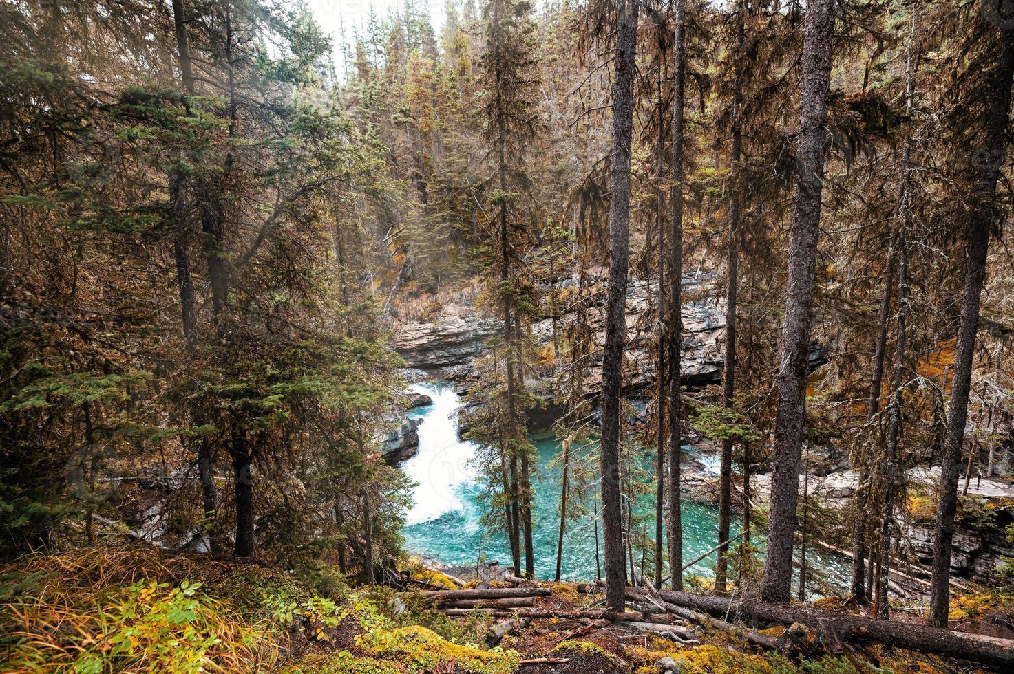 cachoeira do desfiladeiro johnston fluindo na floresta de outono no parque nacional de banff foto