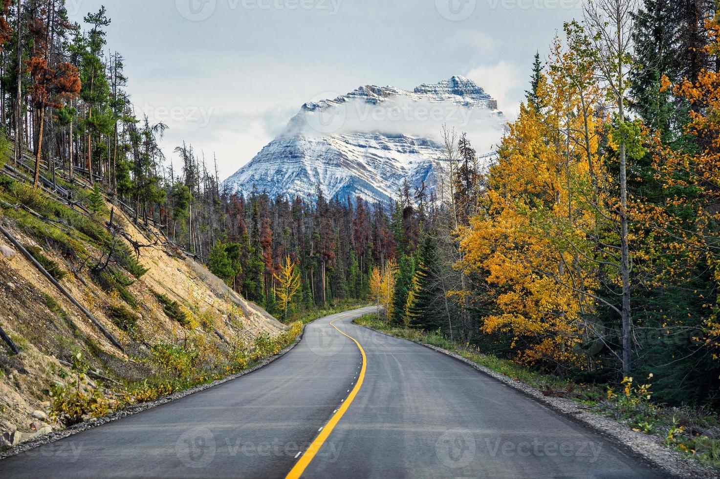 Viagem panorâmica com uma montanha rochosa em uma floresta de pinheiros no outono na rodovia icefields foto