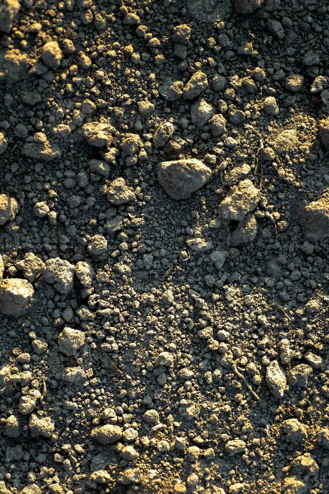 Preto terra com iluminado pelo sol terra montes. terra antes plantio sementes e crescendo legumes ou soja. foto