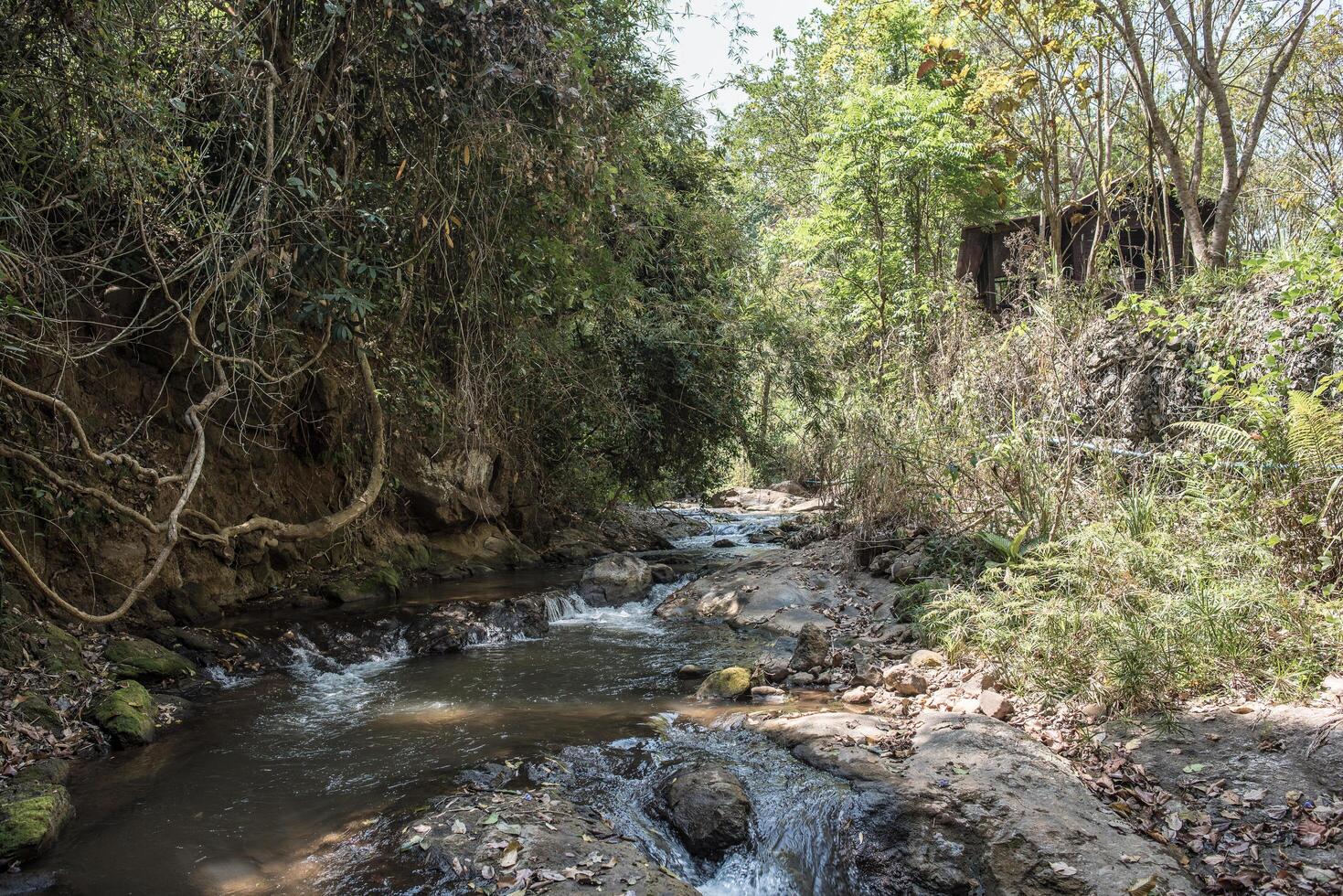 cachoeira na natureza e fundo de pedra foto