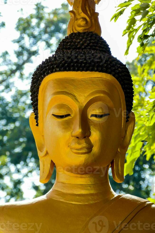 uma dourado Buda estátua com Está olhos fechadas foto
