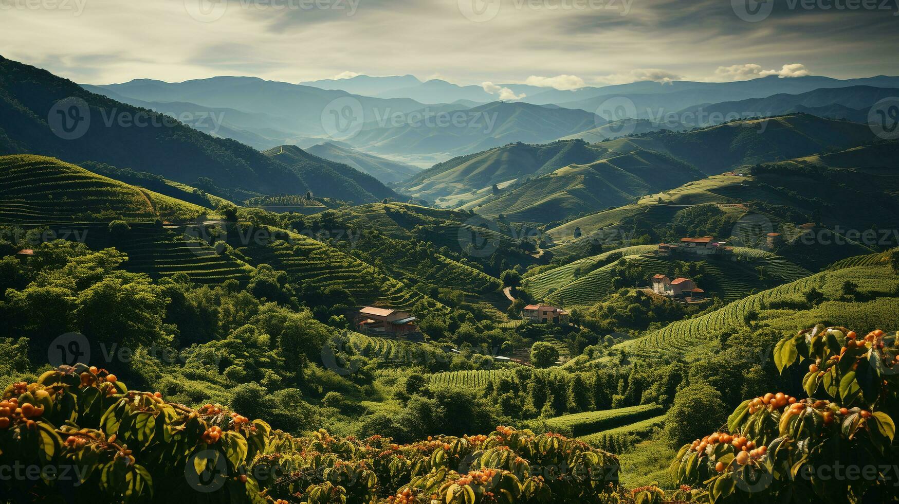 ai gerado Visão do a café plantação foto