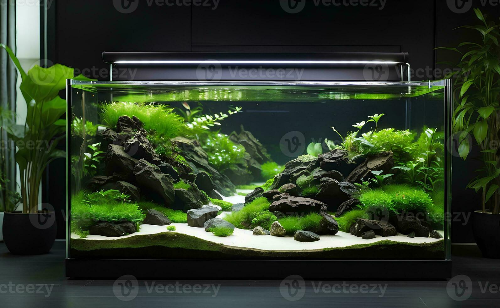 natureza nano aquário com delicado detalhes dentro vivo sala. foto