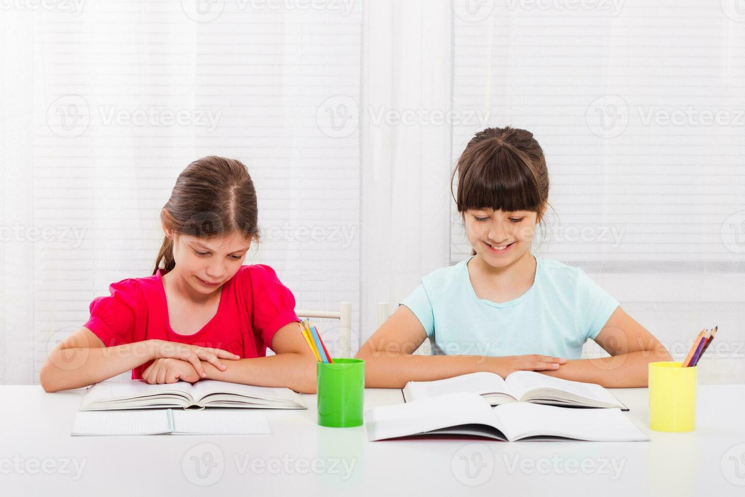 fofa pequeno meninas fazendo dever de casa juntos foto