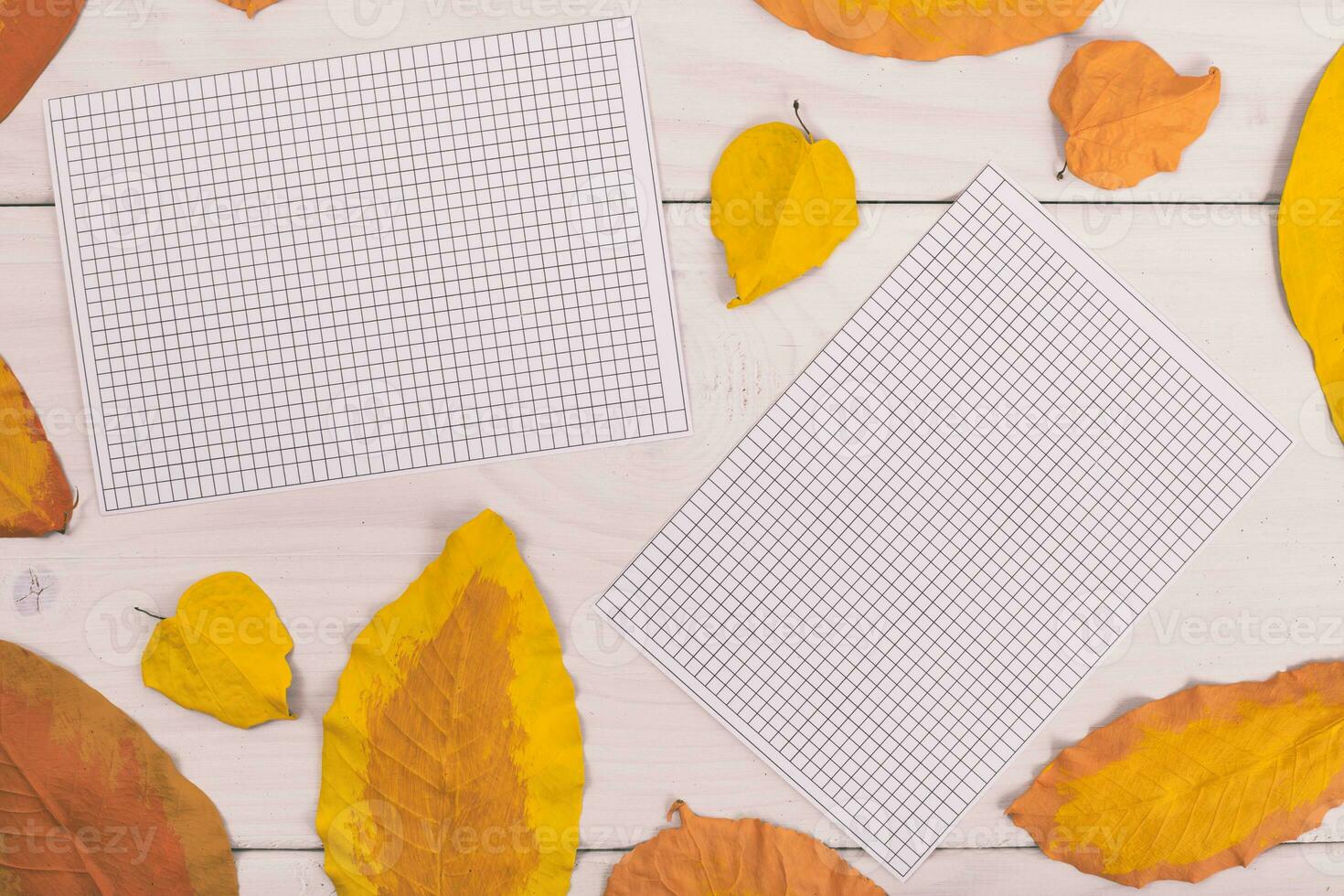 outono folhas e uma papéis em uma branco de madeira mesa foto