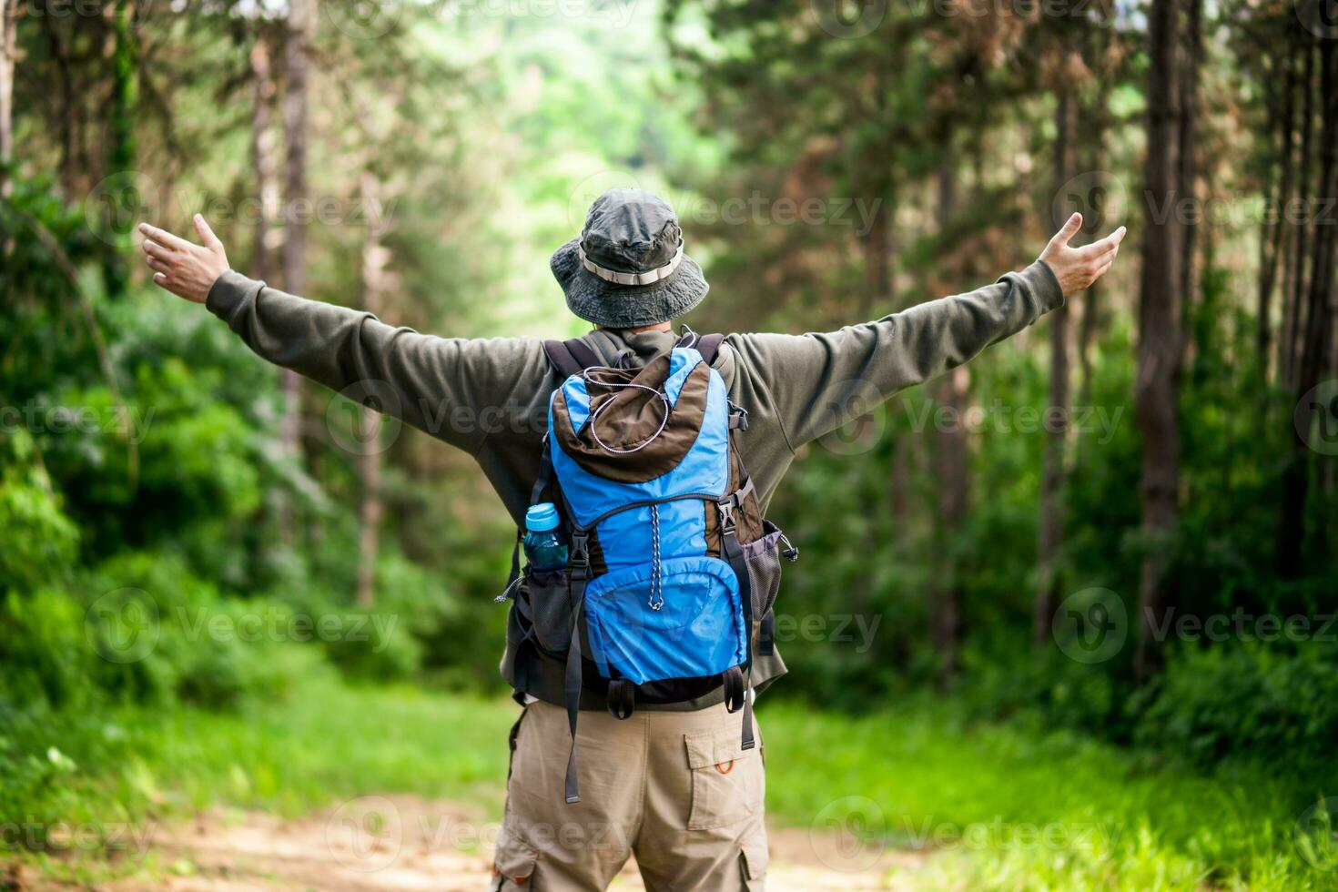 homem caminhante com braços elevado goza dentro lindo Visão dentro a natureza foto