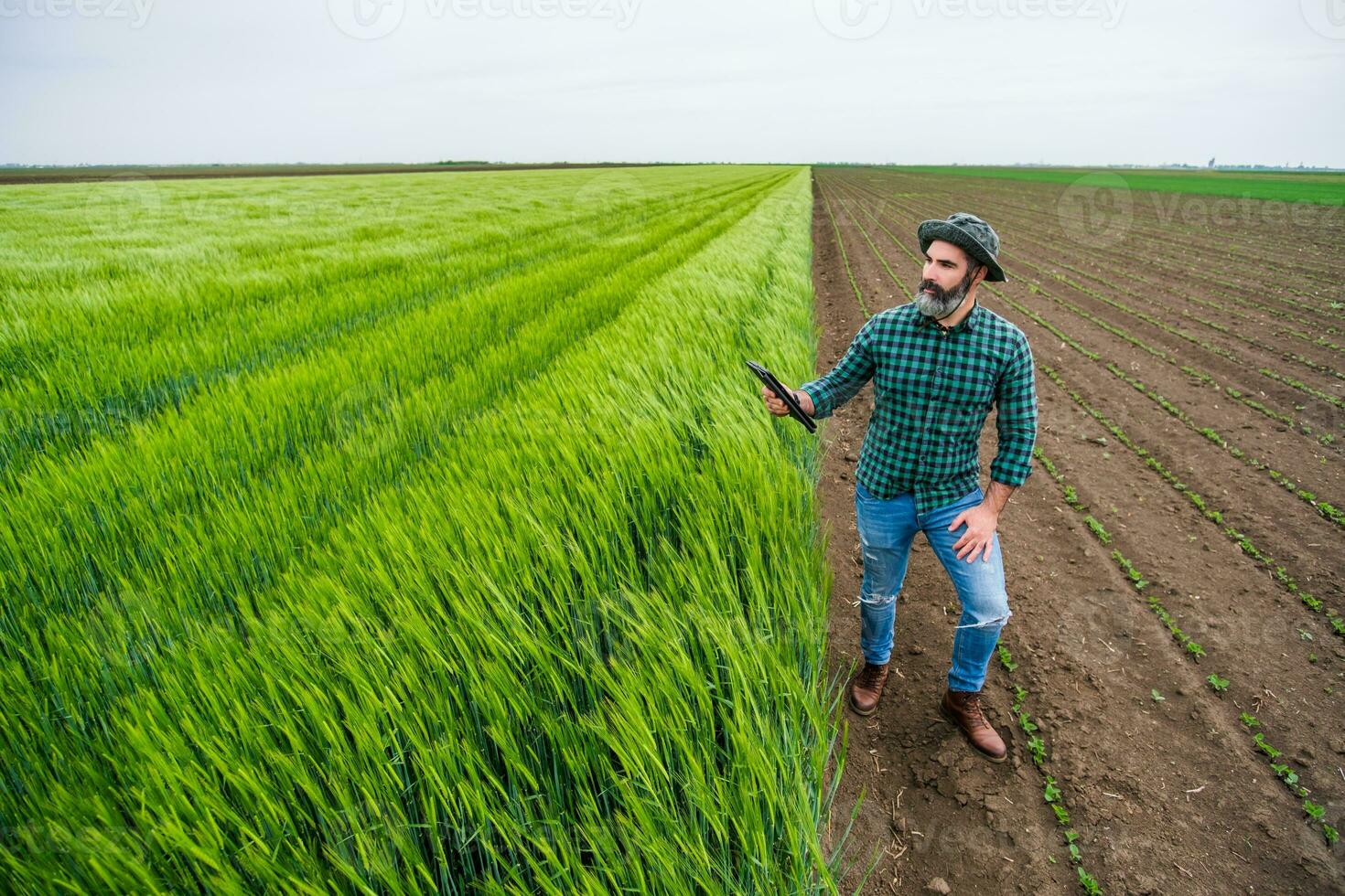 agricultor usando digital tábua enquanto em pé ao lado dele crescendo trigo campo foto