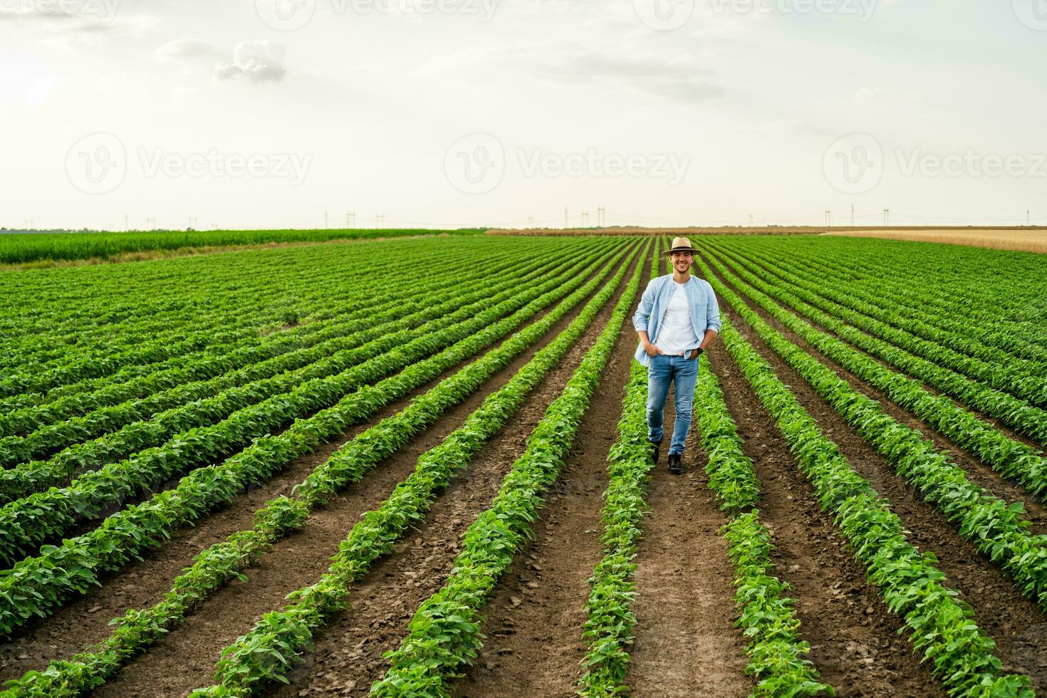 feliz agricultor é caminhando através dele crescendo soja campo foto