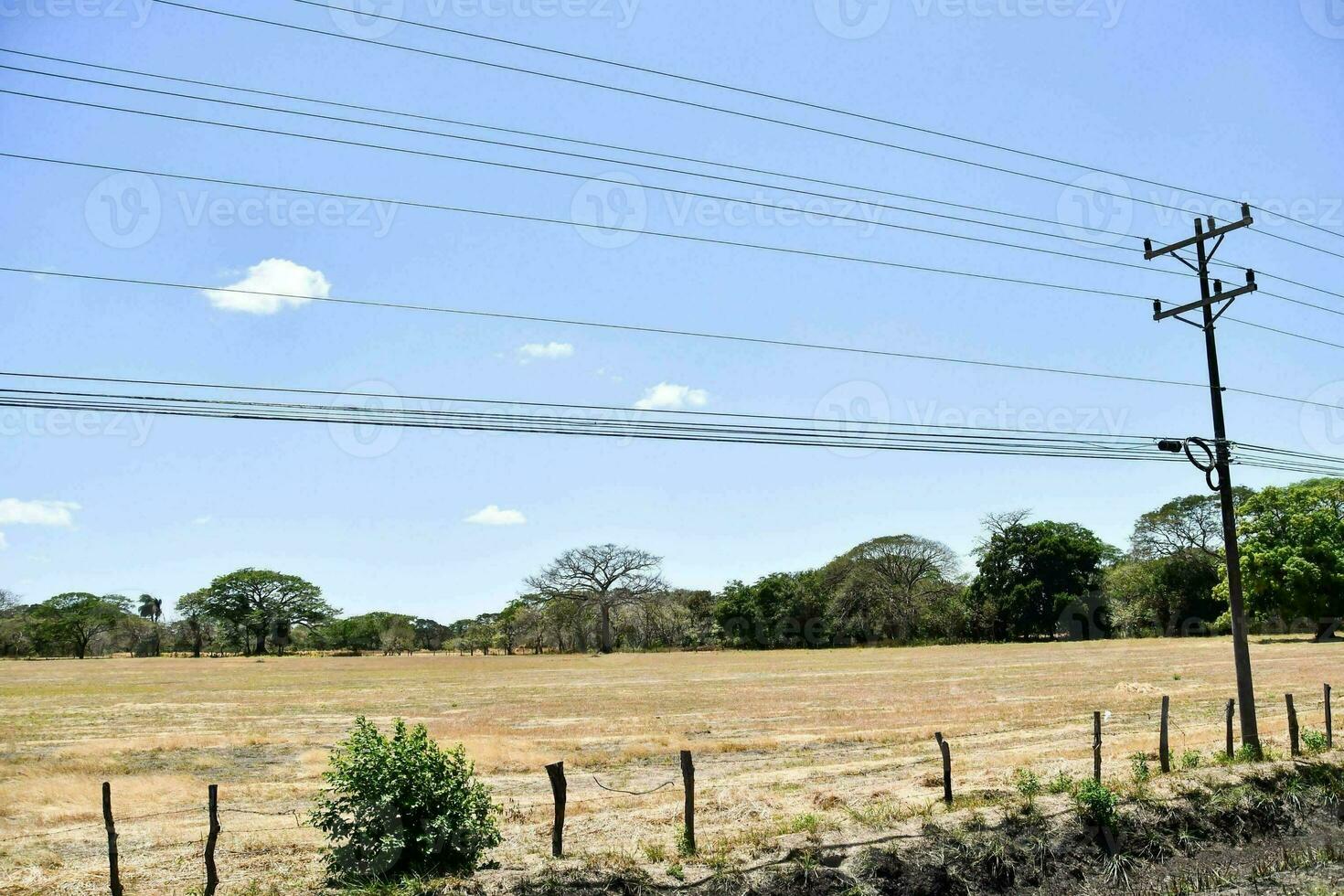 uma campo com poder linhas e Telefone postes foto