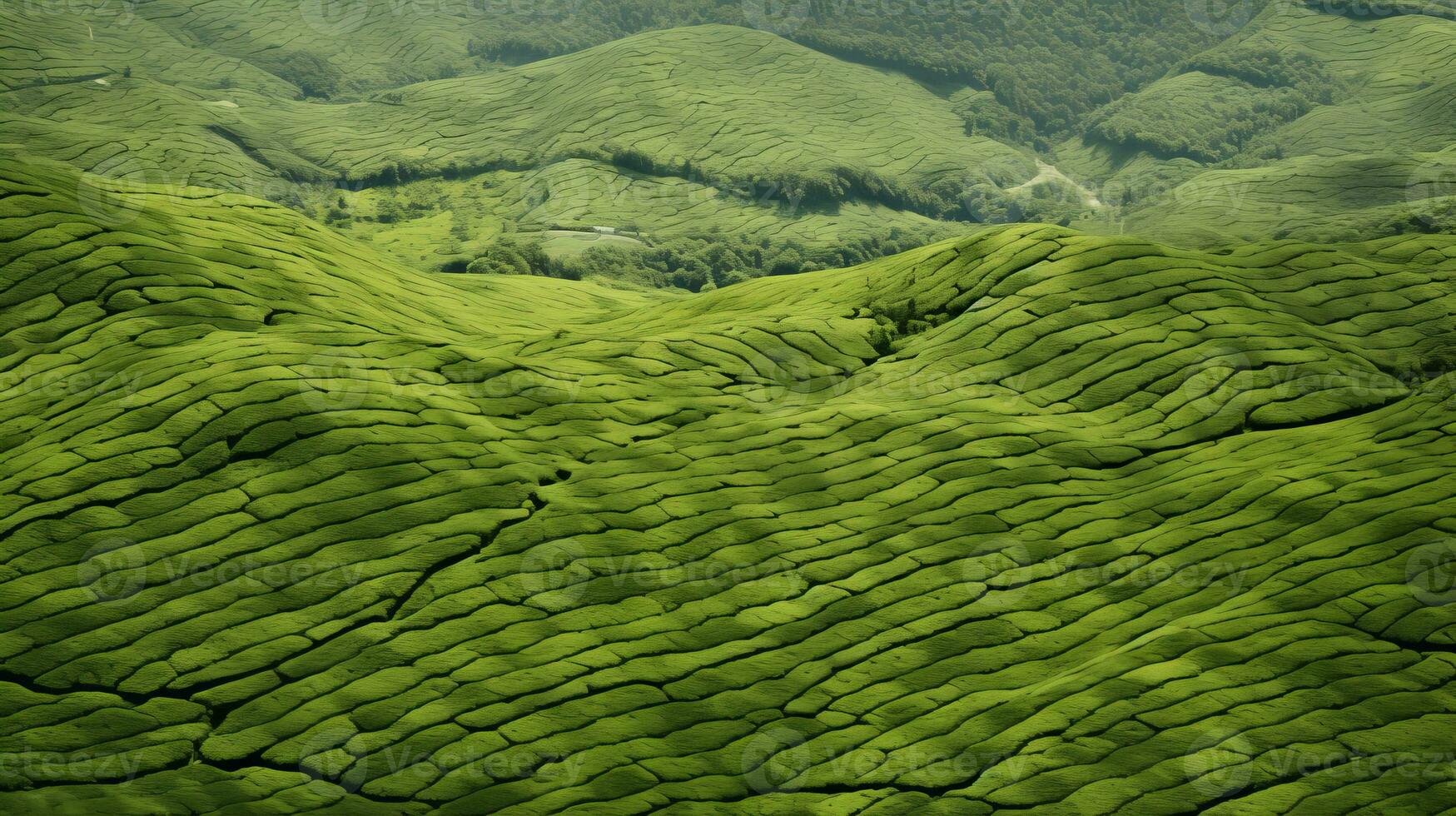 ai gerado chá plantação paisagem, topo Visão textura foto