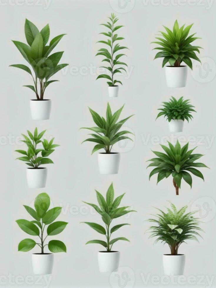 coleção do plantas isolado em uma branco fundo. ai gerado foto