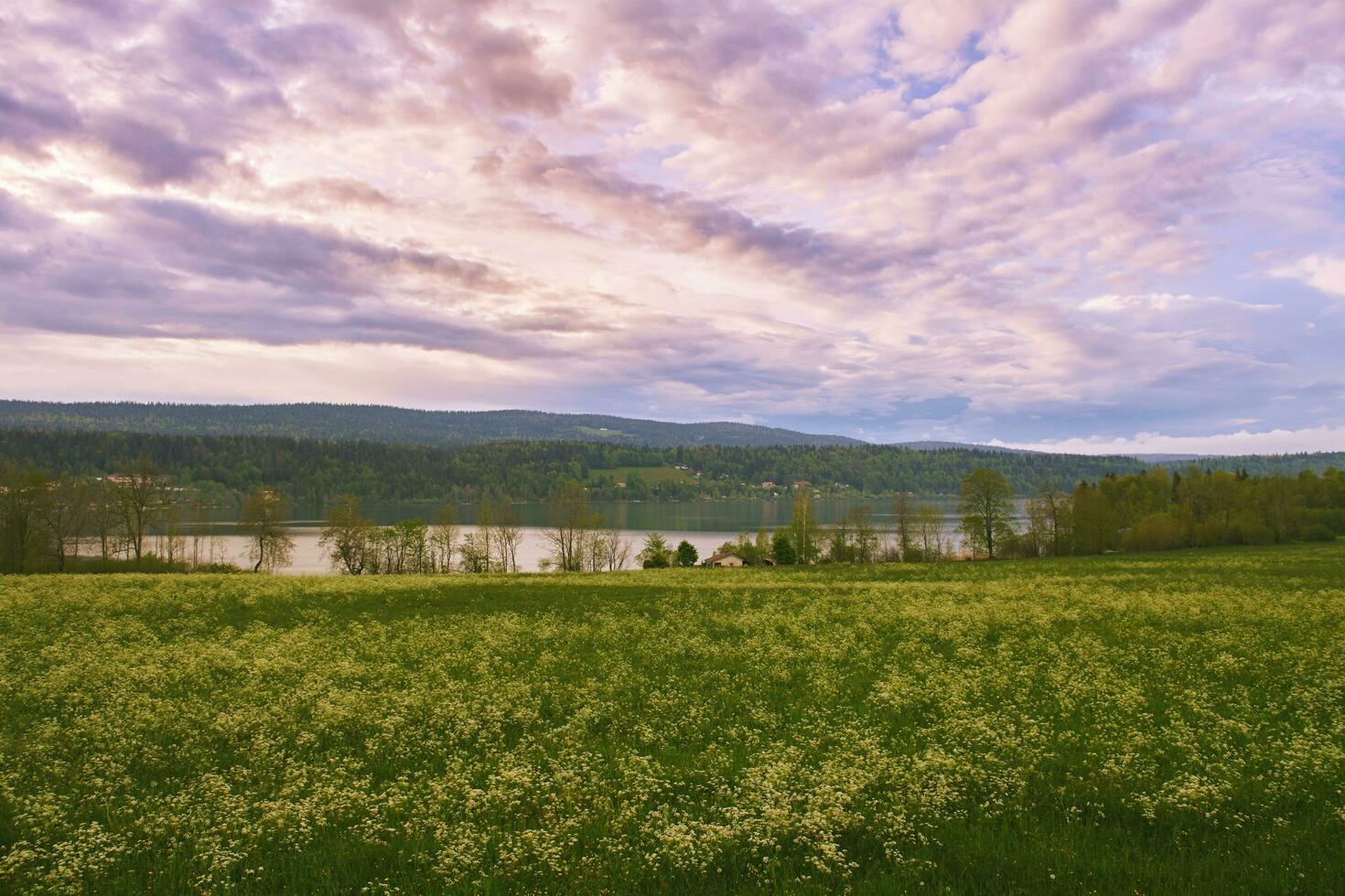 lindo Primavera panorama com com verde campo, fofo nuvens e pequeno lago foto