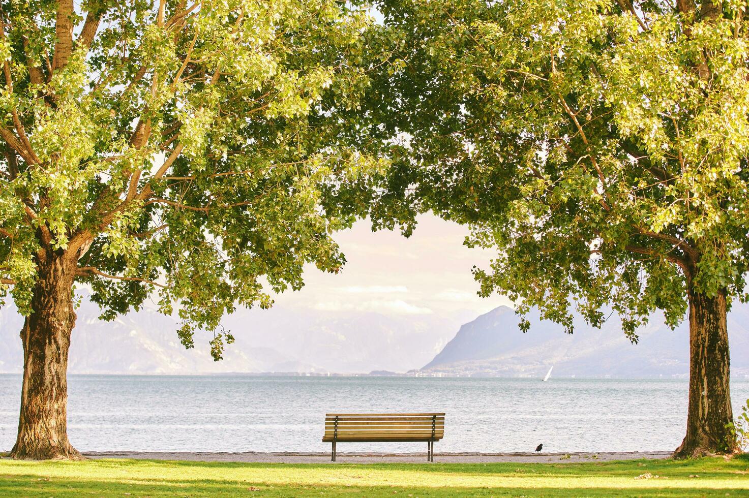 lindo verão parque Próximo para lago Genebra, Suíça, imagem ocupado dentro Cully foto