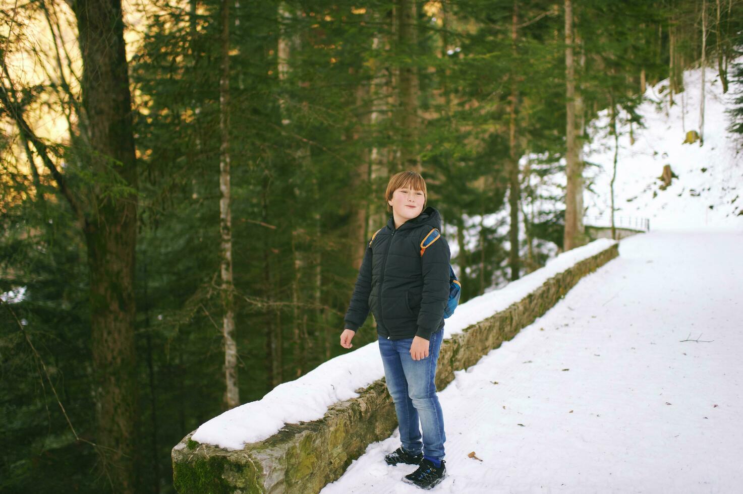 ao ar livre retrato do fofa criança caminhada dentro inverno floresta, jovem Garoto vestindo costas caminhada dentro montanhas foto