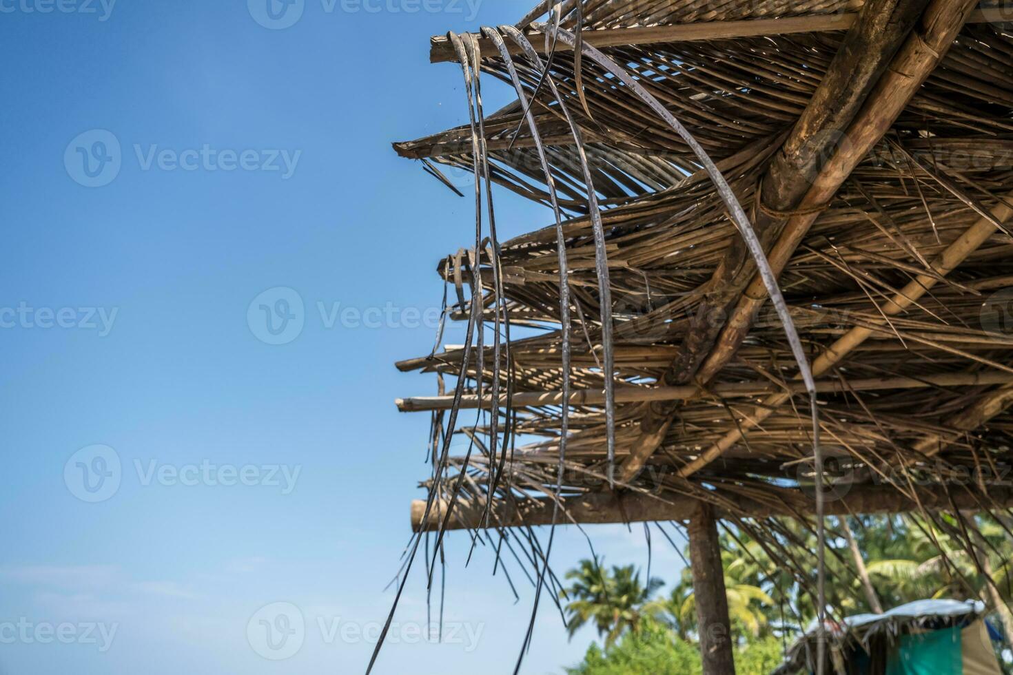 hotel ou feriado casa dentro selva entre Palma árvores em oceano foto