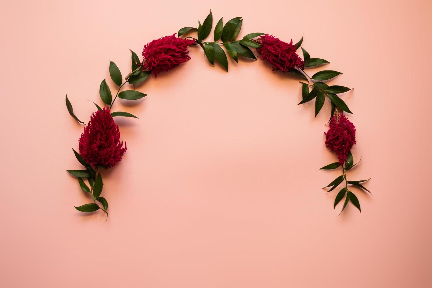 arco de flores frescas em um fundo rosa - copie o espaço foto