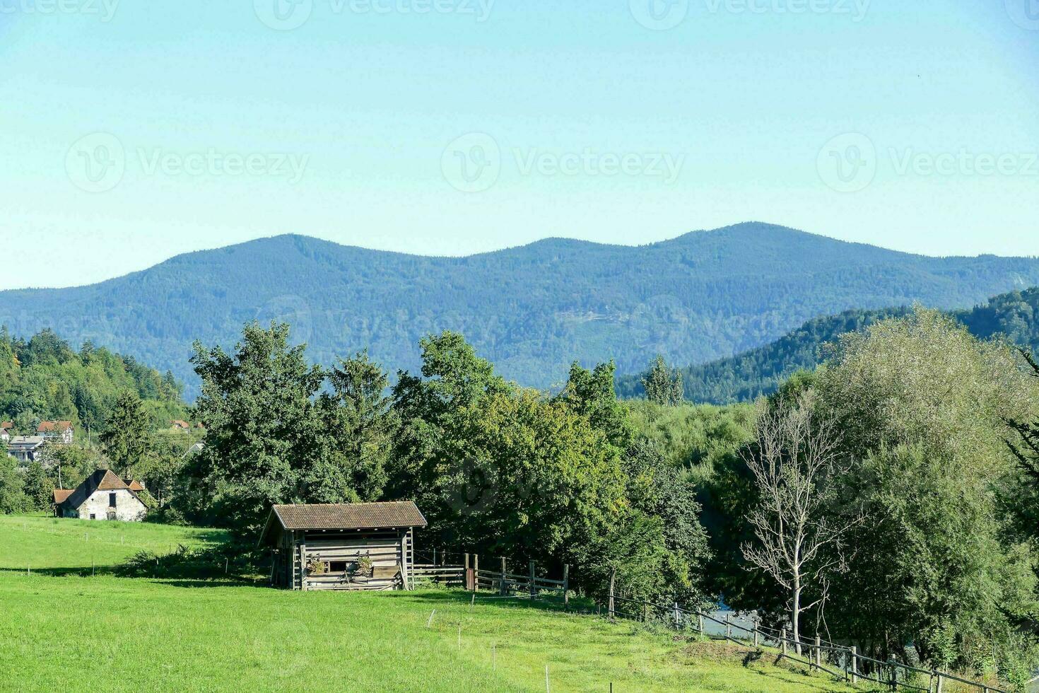 uma pequeno cabine dentro a meio do uma verde campo foto