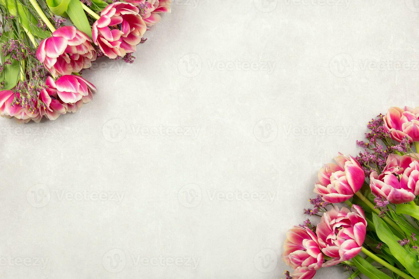 Rosa tulipas flores em luz cinzento concreto fundo. dia dos namorados, mulheres, mães dia, páscoa, aniversário ou Casamento Primavera feriado plano deitar. topo visualizar. cópia de espaço. foto