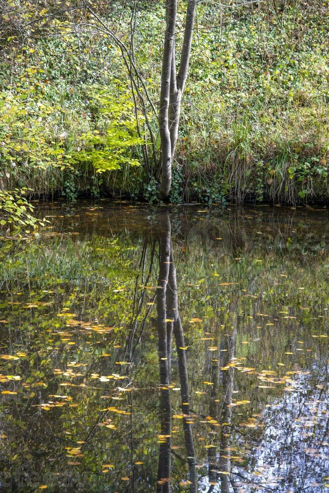 isto fotos mostra uma barco em uma pequeno lagoa com reflexões dentro uma agricultores Vila dentro Alemanha