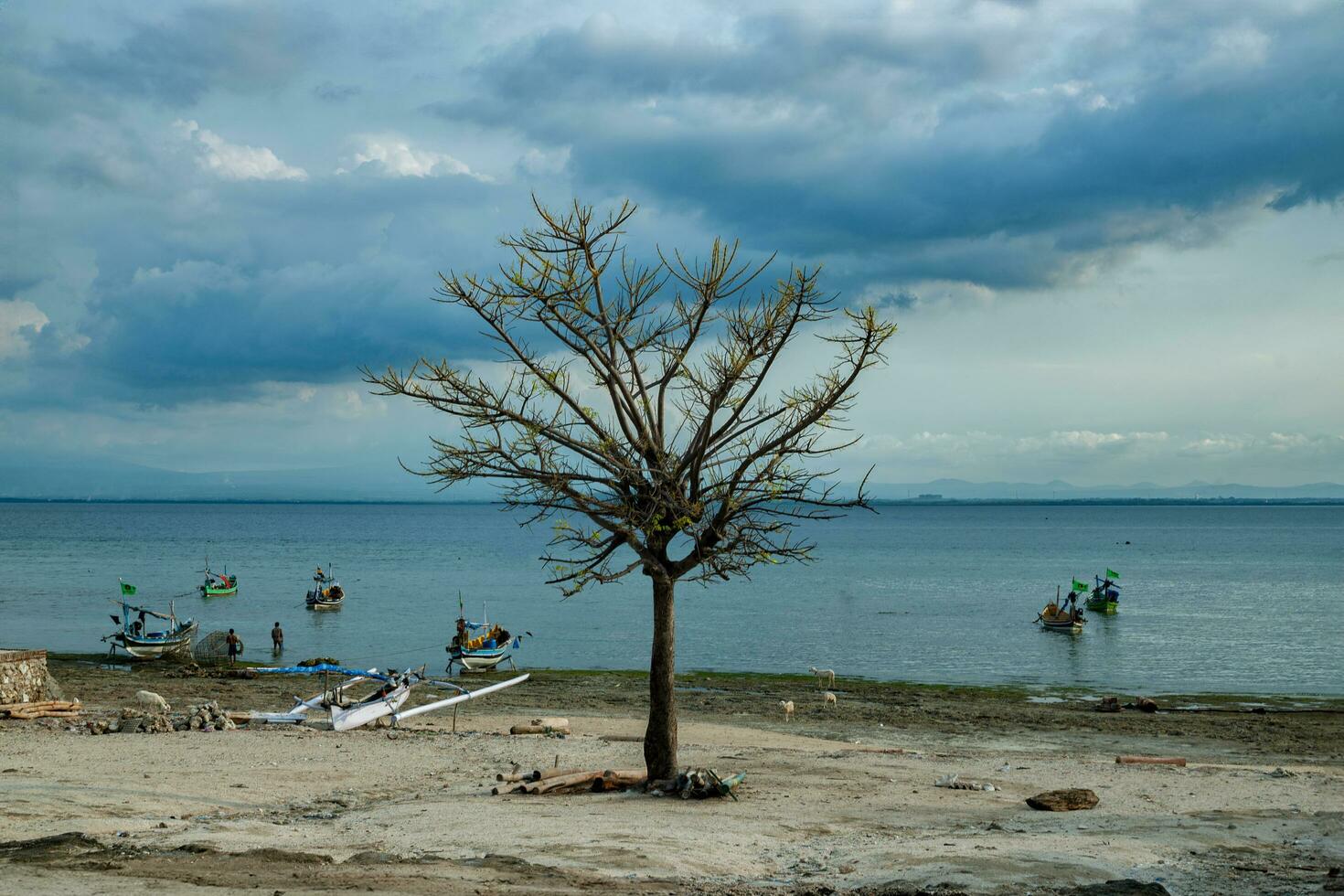 gili ketapang ilha, probolinggo, Indonésia foto