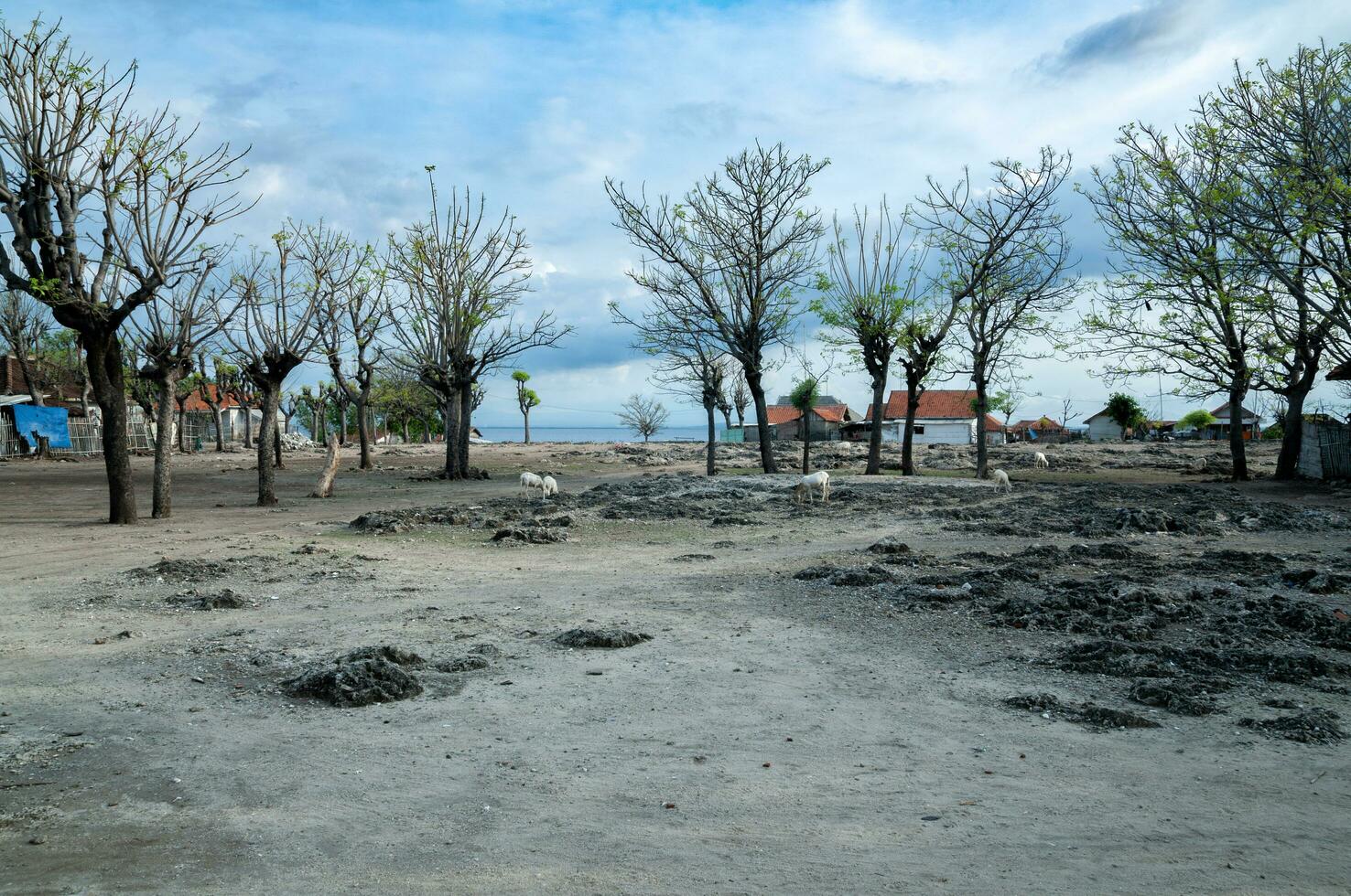 gili ketapang ilha, probolinggo, Indonésia foto