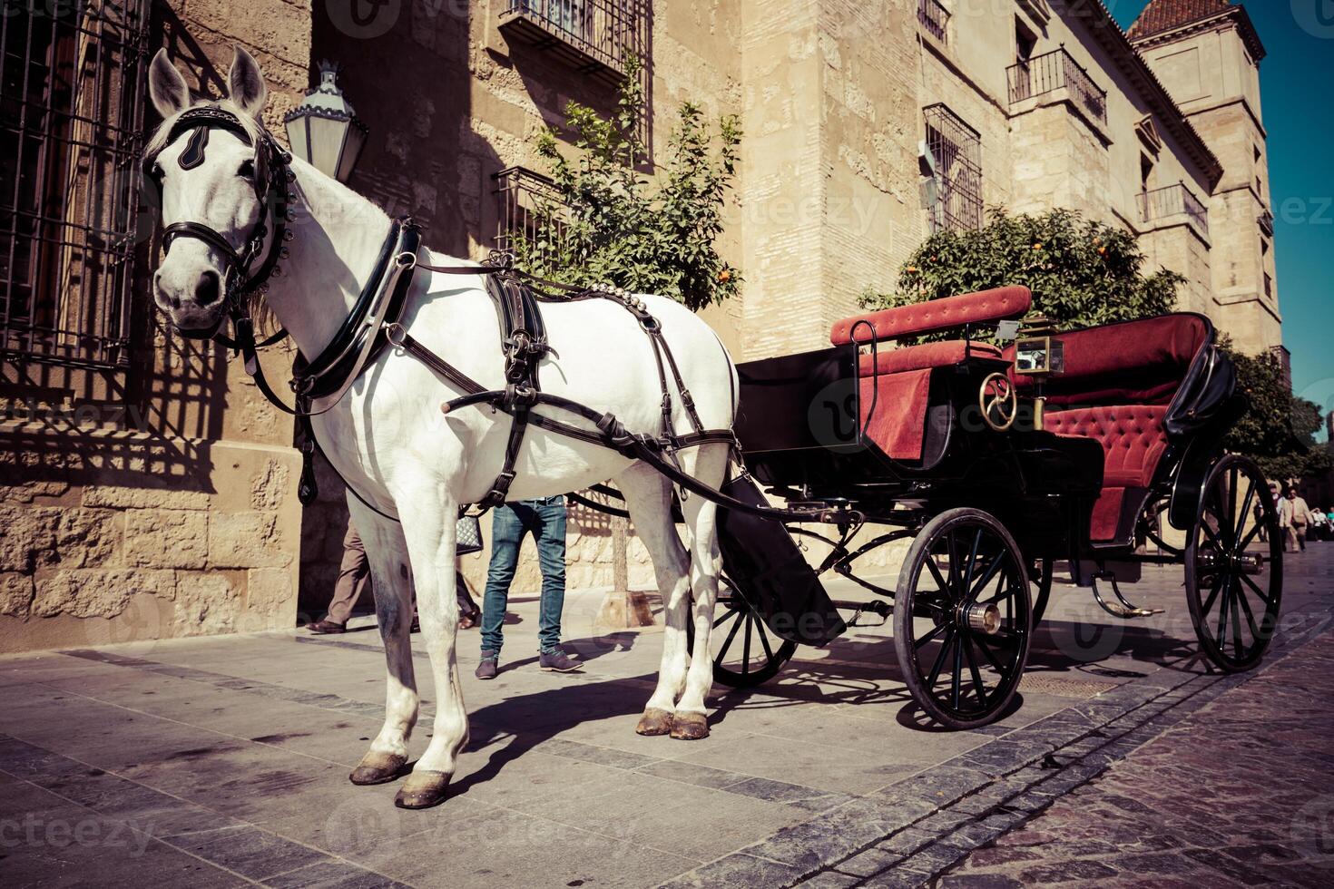 tradicional cavalo e carrinho às Córdoba Espanha - viagem fundo foto