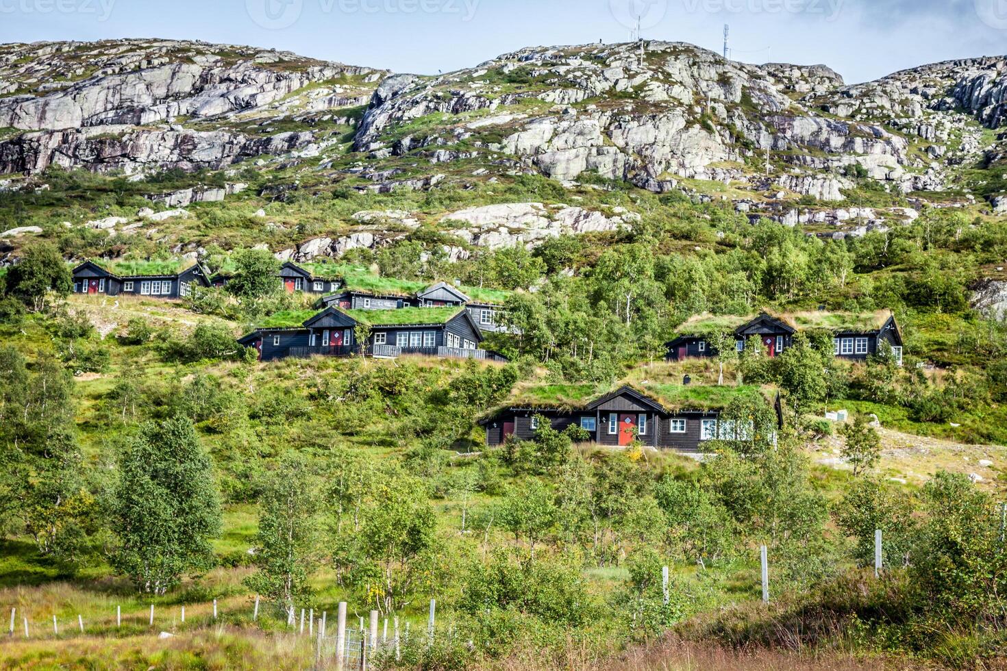 típica norueguês casa com Relva em a cobertura foto