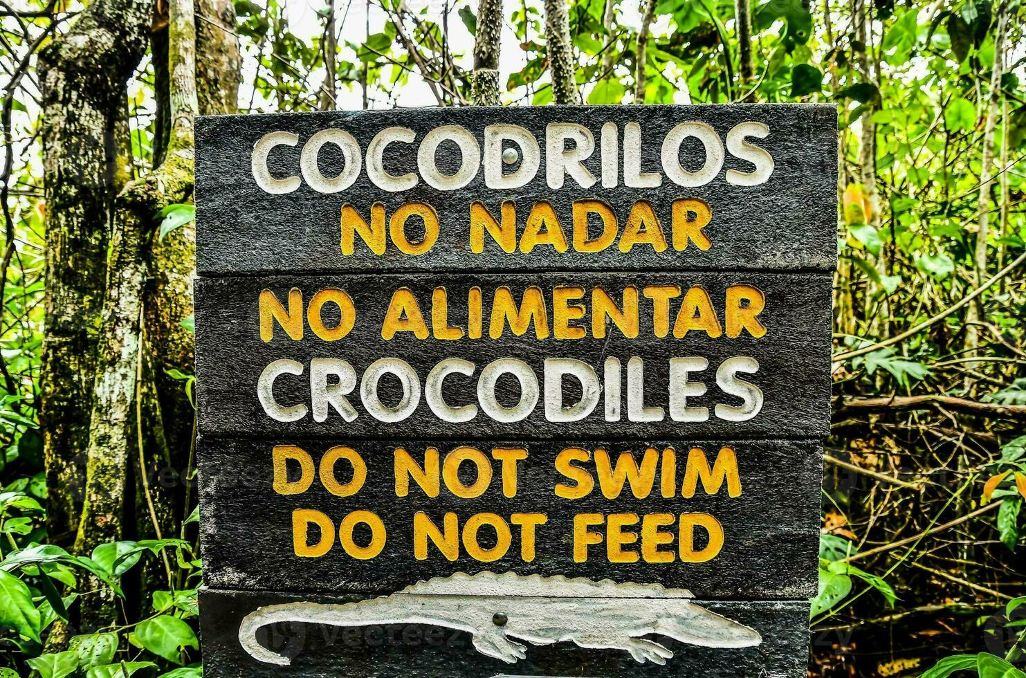uma placa este diz crocodilos Faz não nadar Faz não alimentação foto