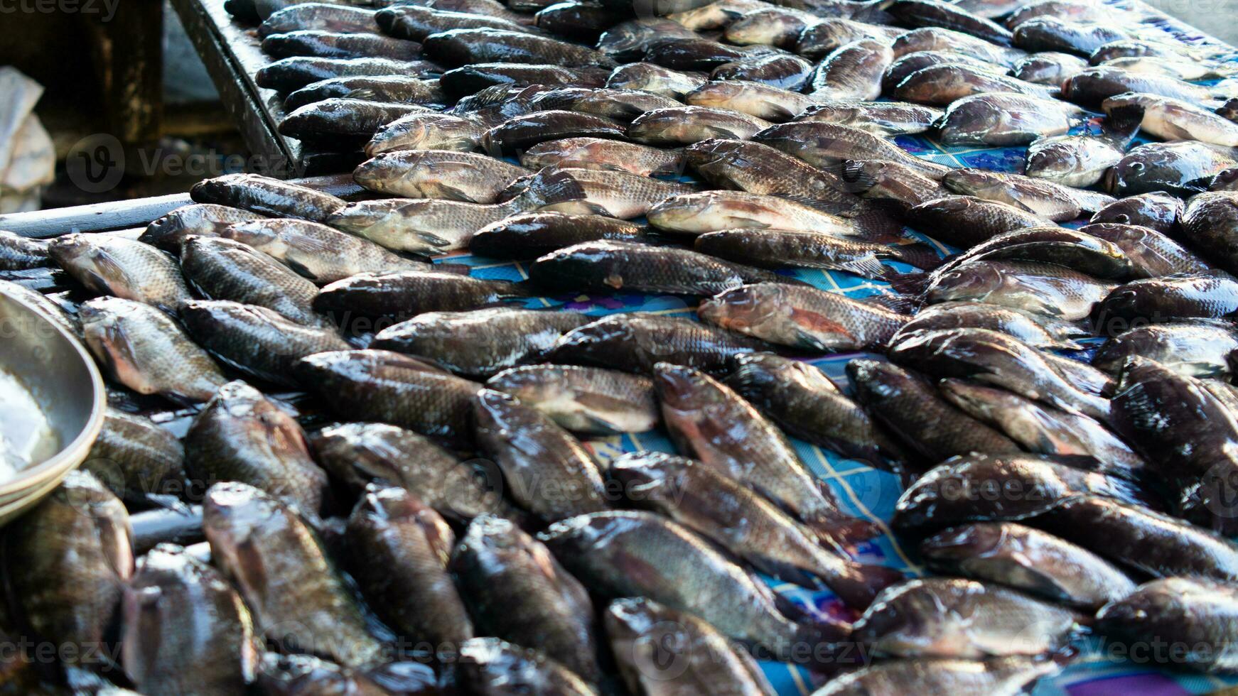 fresco frutos do mar em a peixe mercado foto